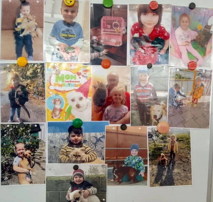 IMG-20231004-WA0005_edit_101677273010524