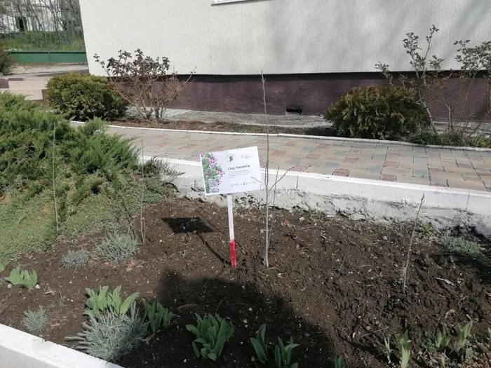 photo_2023-03-30_10-38-44