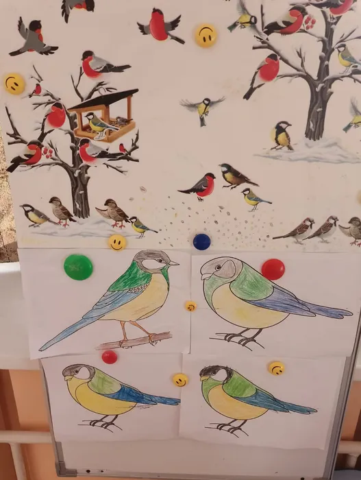 photo_2023-11-15_08-17-45