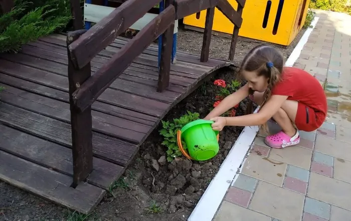 photo_2023-07-27_12-51-11 (2)